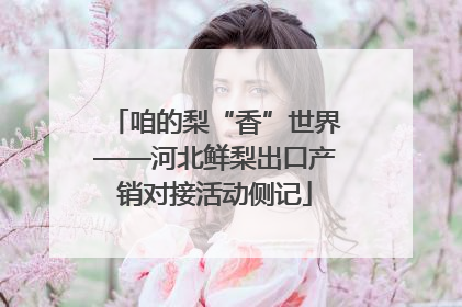 咱的梨“香”世界——河北鲜梨出口产销对接活动侧记