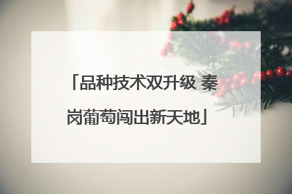 品种技术双升级 秦岗葡萄闯出新天地