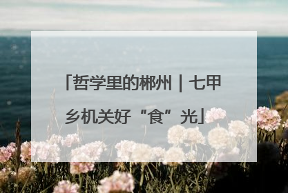 哲学里的郴州｜七甲乡机关好“食”光