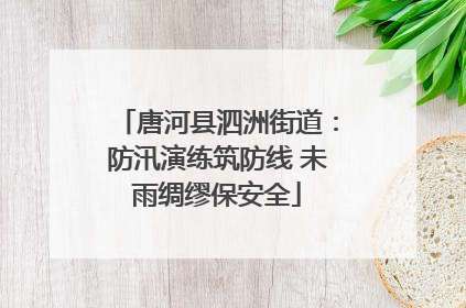 唐河县泗洲街道：防汛演练筑防线 未雨绸缪保安全