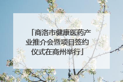 商洛市健康医药产业推介会暨项目签约仪式在商州举行