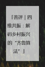善评｜四维共振：解码乡村振兴的“齐鲁算法”