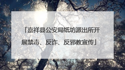 嘉祥县公安局纸坊派出所开展禁毒、反诈、反邪教宣传