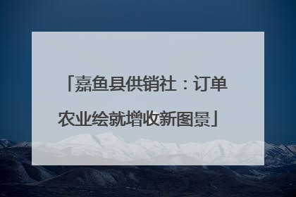 嘉鱼县供销社：订单农业绘就增收新图景