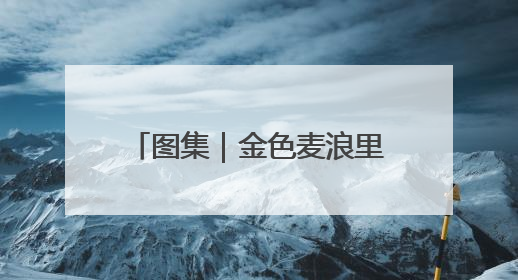 图集｜金色麦浪里的丰收交响曲——豫东三夏抢收纪实