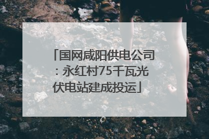 国网咸阳供电公司：永红村75千瓦光伏电站建成投运