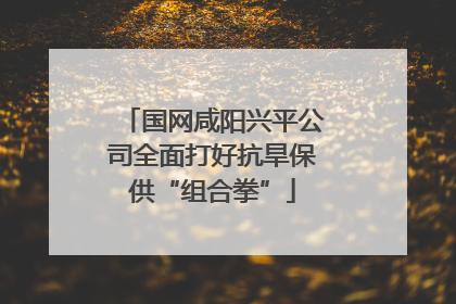 国网咸阳兴平公司全面打好抗旱保供“组合拳”