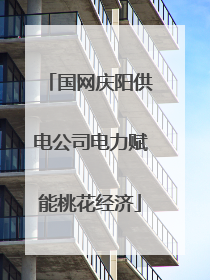 国网庆阳供电公司电力赋能桃花经济