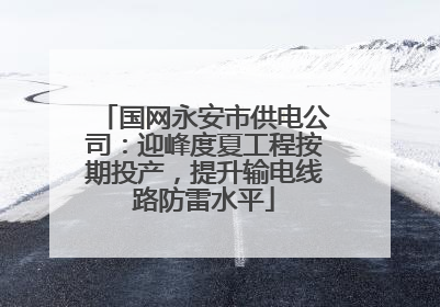 国网永安市供电公司：迎峰度夏工程按期投产，提升输电线路防雷水平