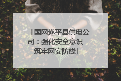 国网遂平县供电公司：强化安全意识 筑牢网安防线