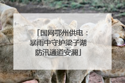 国网鄂州供电：暴雨中守护梁子湖防汛通道安澜