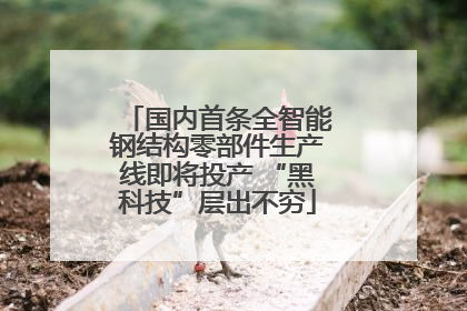 国内首条全智能钢结构零部件生产线即将投产 “黑科技”层出不穷