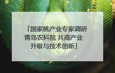 国家桃产业专家调研青岛农科院 共商产业升级与技术创新