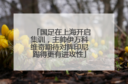 国足在上海开启集训，主帅伊万科维奇期待对阵印尼踢得更有进攻性
