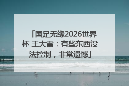 国足无缘2026世界杯 王大雷：有些东西没法控制，非常遗憾