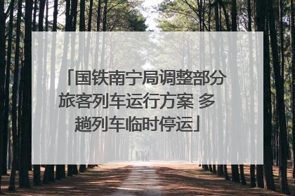 国铁南宁局调整部分旅客列车运行方案 多趟列车临时停运