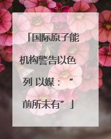 国际原子能机构警告以色列 以媒：“前所未有”