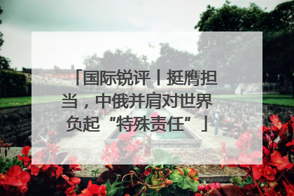 国际锐评丨挺膺担当，中俄并肩对世界负起“特殊责任”