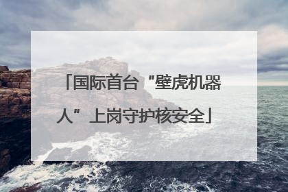 国际首台“壁虎机器人”上岗守护核安全