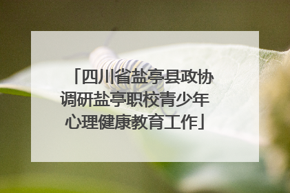 四川省盐亭县政协调研盐亭职校青少年心理健康教育工作