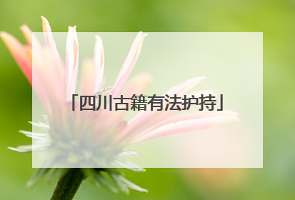 四川古籍有法护持