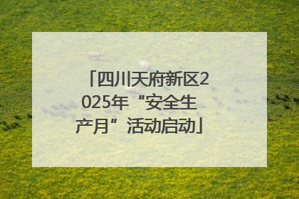 四川天府新区2025年“安全生产月”活动启动