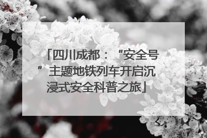 四川成都：“安全号”主题地铁列车开启沉浸式安全科普之旅