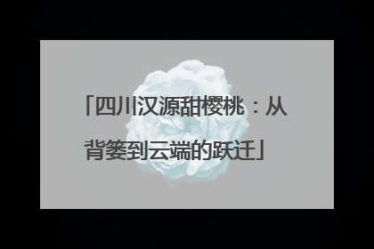 四川汉源甜樱桃：从背篓到云端的跃迁