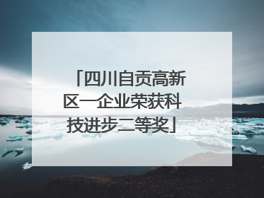 四川自贡高新区一企业荣获科技进步二等奖