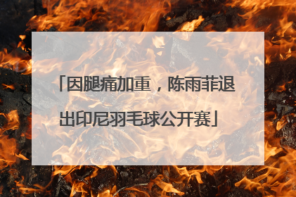 因腿痛加重，陈雨菲退出印尼羽毛球公开赛