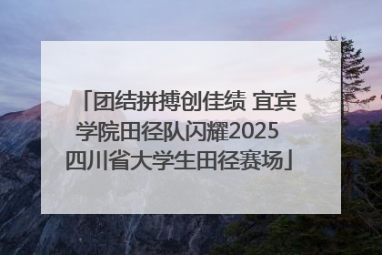 团结拼搏创佳绩 宜宾学院田径队闪耀2025四川省大学生田径赛场