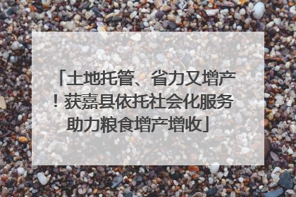 土地托管、省力又增产！获嘉县依托社会化服务助力粮食增产增收
