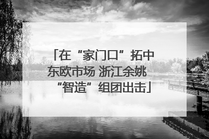 在“家门口”拓中东欧市场 浙江余姚“智造”组团出击