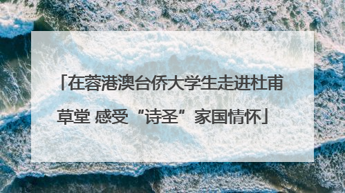 在蓉港澳台侨大学生走进杜甫草堂 感受“诗圣”家国情怀