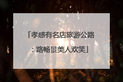 孝感有名店旅游公路：路畅景美人欢笑