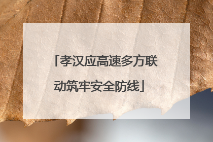 孝汉应高速多方联动筑牢安全防线