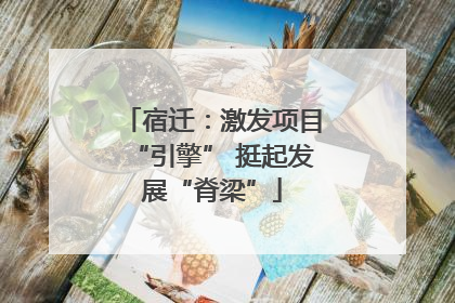 宿迁：激发项目“引擎” 挺起发展“脊梁”