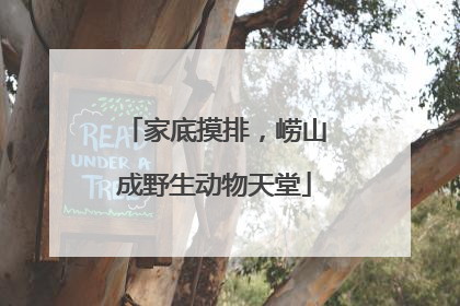 家底摸排，崂山成野生动物天堂