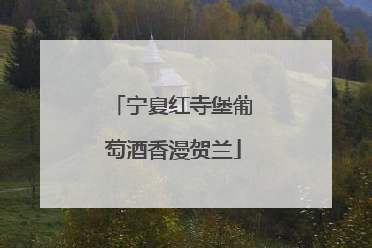 宁夏红寺堡葡萄酒香漫贺兰