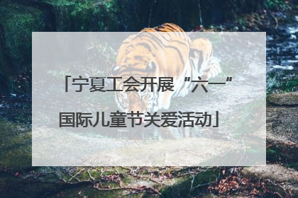 宁夏工会开展“六一”国际儿童节关爱活动