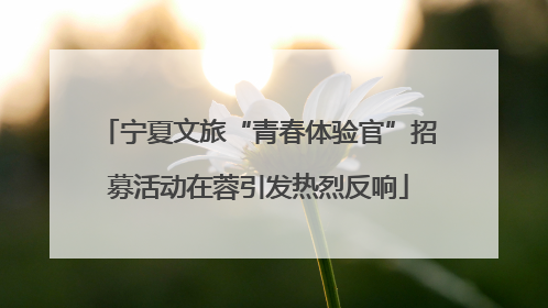 宁夏文旅“青春体验官”招募活动在蓉引发热烈反响