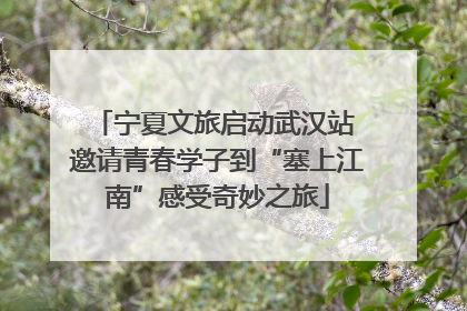 宁夏文旅启动武汉站 邀请青春学子到“塞上江南”感受奇妙之旅