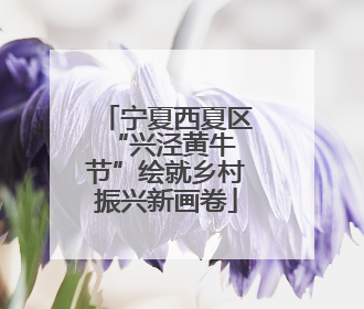 宁夏西夏区 “兴泾黄牛节”绘就乡村振兴新画卷