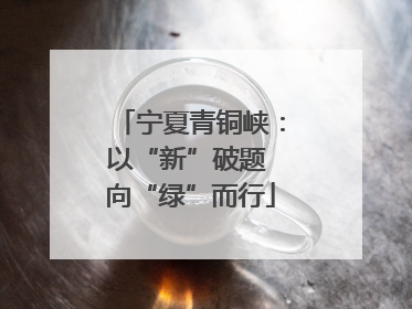 宁夏青铜峡：以“新”破题 向“绿”而行
