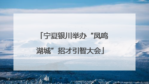 宁夏银川举办“凤鸣湖城”招才引智大会