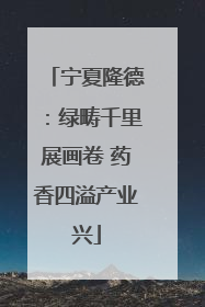 宁夏隆德：绿畴千里展画卷 药香四溢产业兴