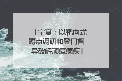 宁夏：以靶向式蹲点调研和登门督导破解顽瘴痼疾