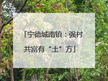 宁德城南镇：强村共富有“土”方