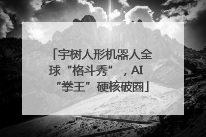 宇树人形机器人全球“格斗秀”，AI“拳王”硬核破圈