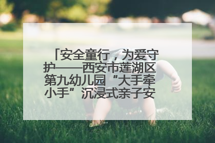 安全童行，为爱守护——西安市莲湖区第九幼儿园“大手牵小手”沉浸式亲子安全体验活动